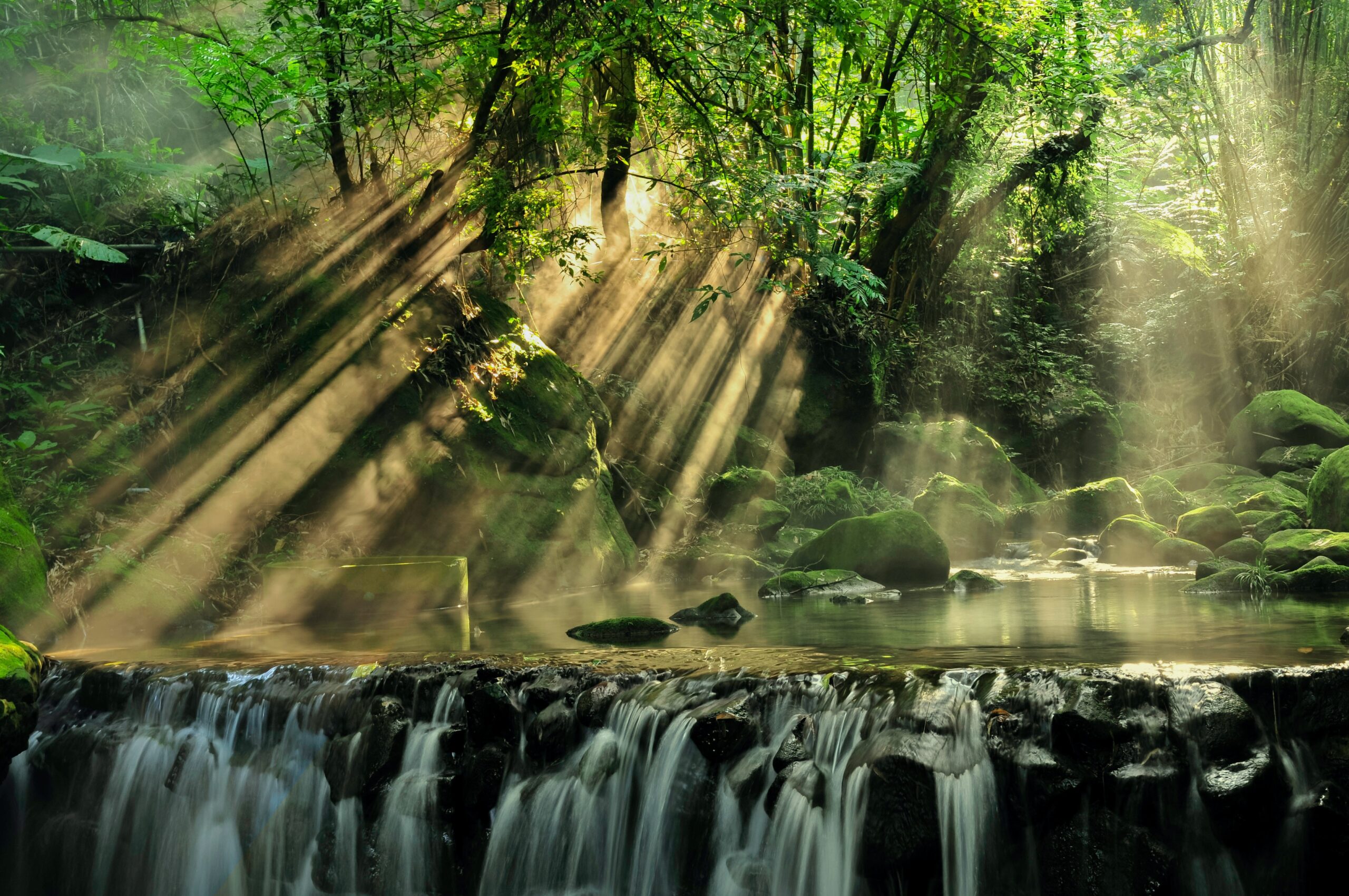 parallax background